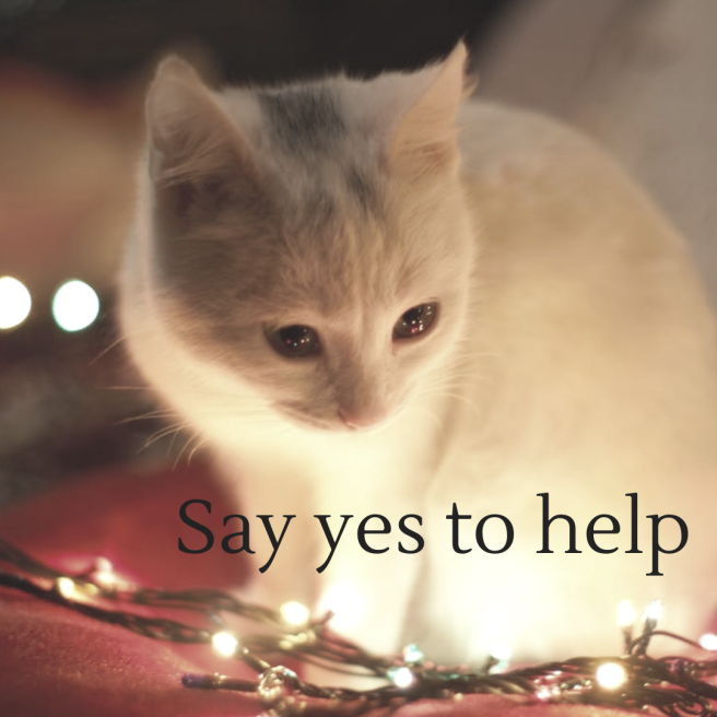 Say yes to help